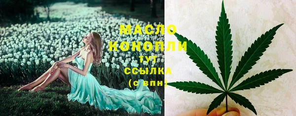 стафф Чекалин