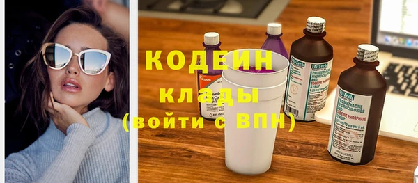 ПСИЛОЦИБИНОВЫЕ ГРИБЫ Горняк