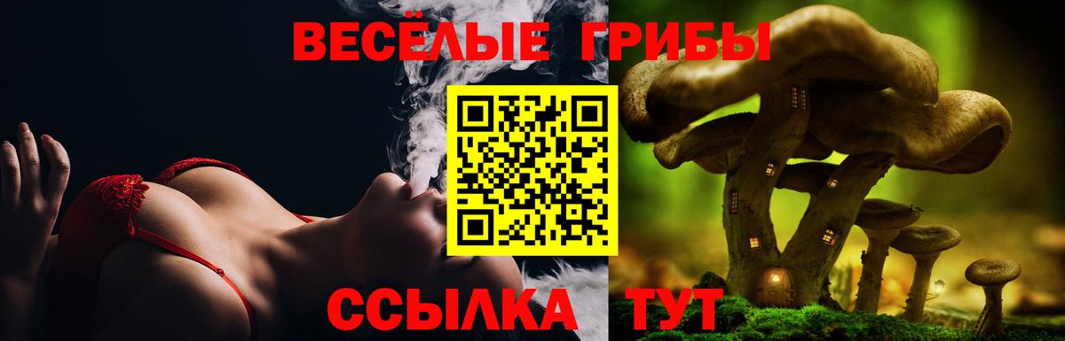 Псилоцибиновые грибы Cubensis Одинцово